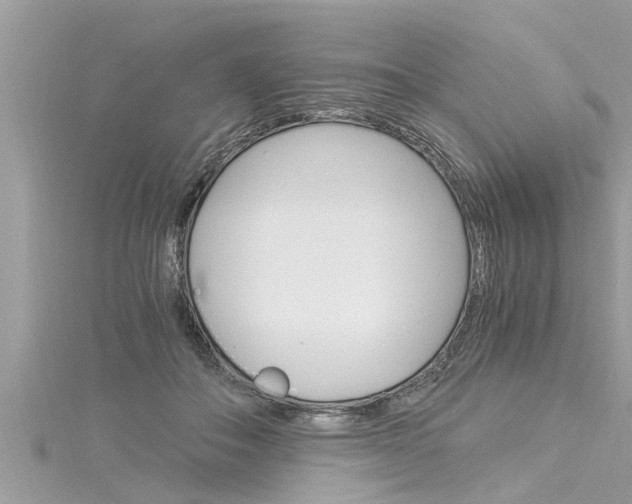 X0000116020506200911200942