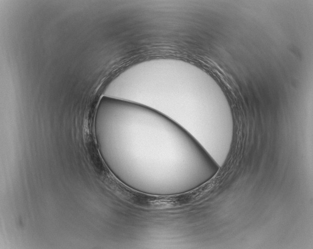 X0000116020516200911200942