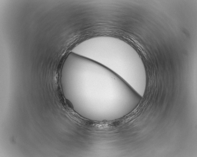 X0000116020524200911200942