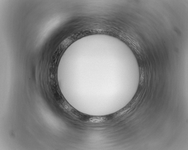 X0000116020526200911200942
