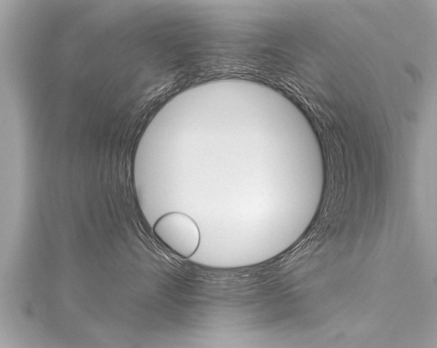 X0000116020528200911200942