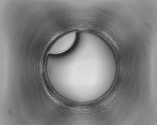 X0000116020530200911200941