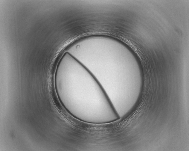 X0000116020535200911200941