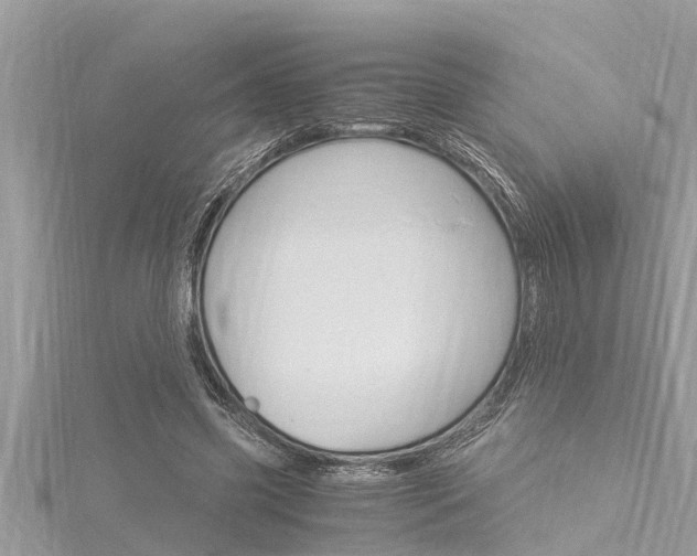 X0000116020541200911200941