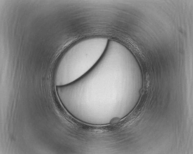 X0000116020542200911200941