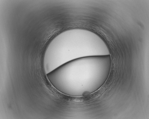 X0000116020546200911200941