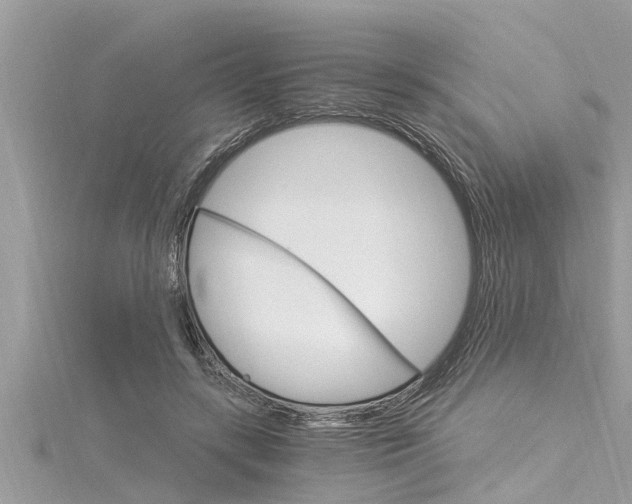 X0000116020547200911200941