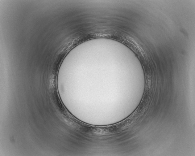 X0000116020549200911200941