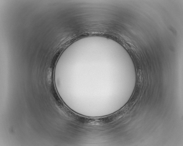 X0000116020550200911200941