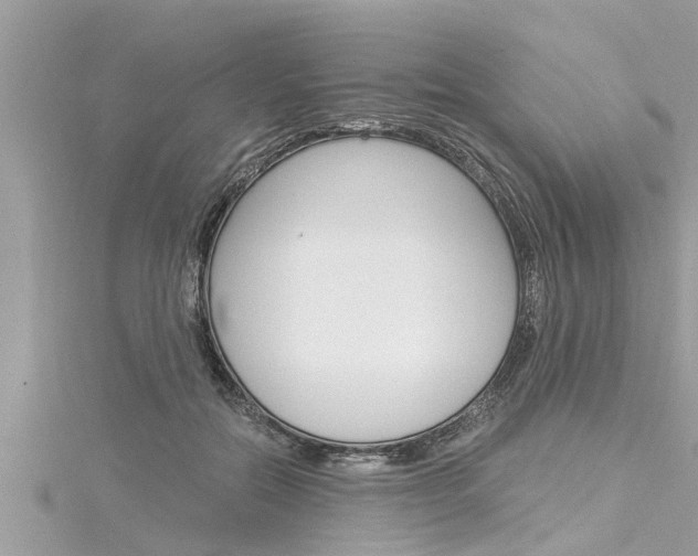 X0000116020554200911200941
