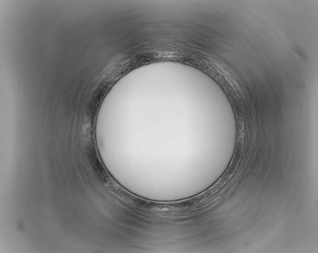 X0000116020557200911200941