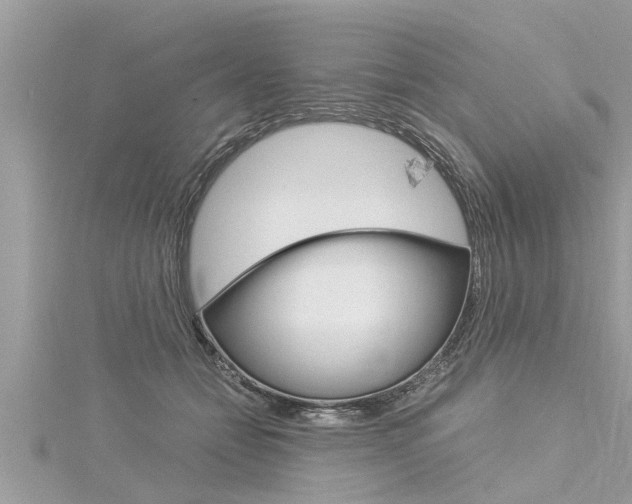 X0000116020558200911200941