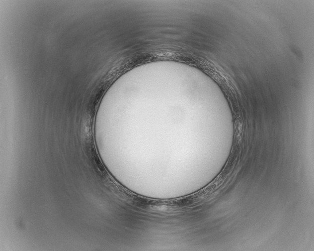 X0000116020561200911200941
