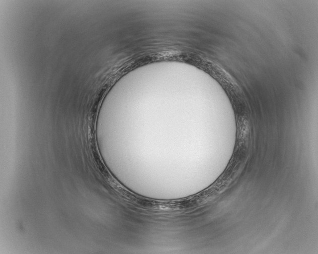 X0000116020565200911200941