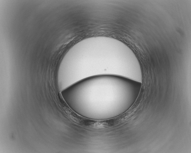 X0000116020566200911200941