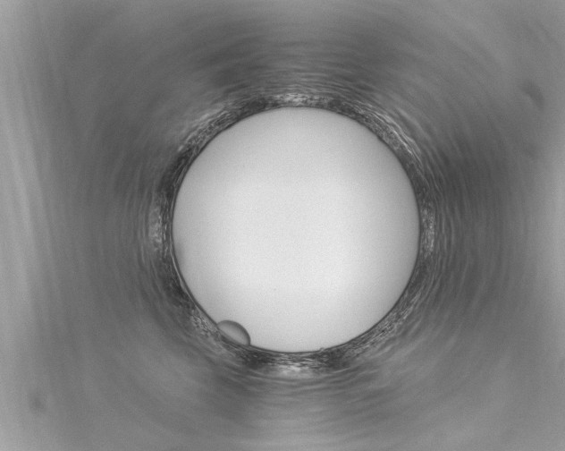 X0000116020569200911200941