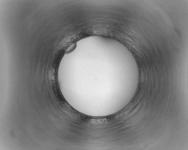 X0000116020571200911200942