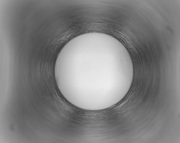 X0000116020575200911200942