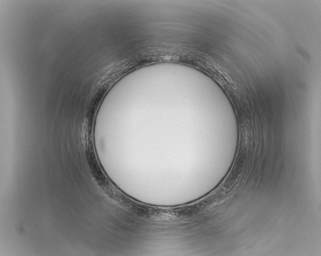 X0000116020594200911200941