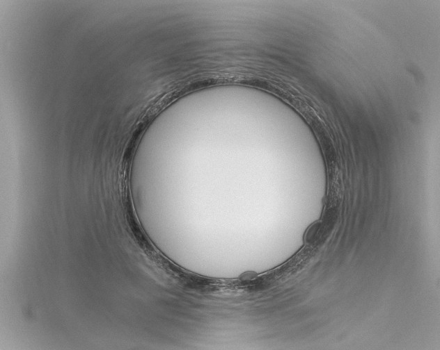 X0000116020601200911200940