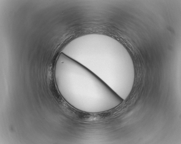 X0000116020612200911200940