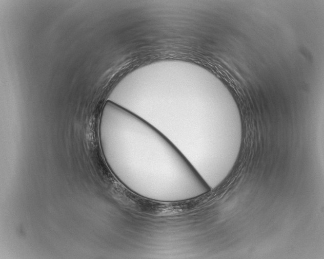 X0000116020616200911200940