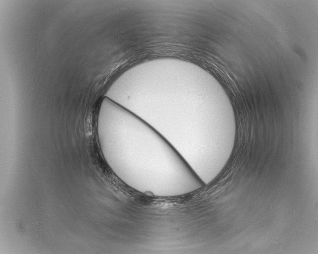X0000116020620200911200940