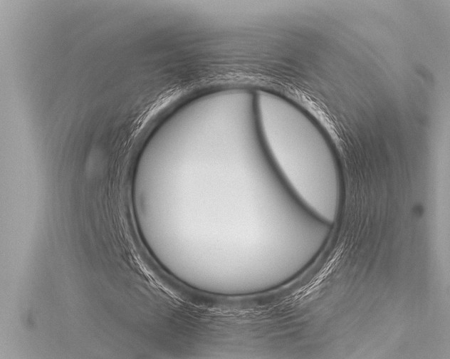 X0000116020625200911200939