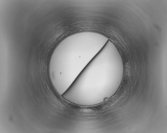 X0000116020650200911200940