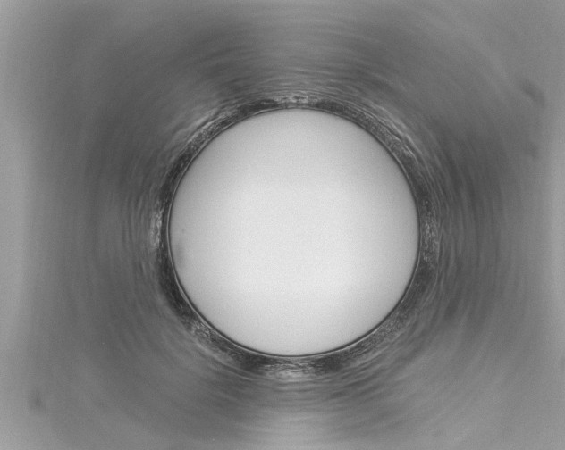 X0000116020652200911200940