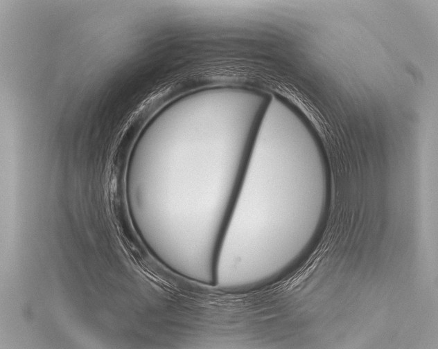 X0000116020723200911200938