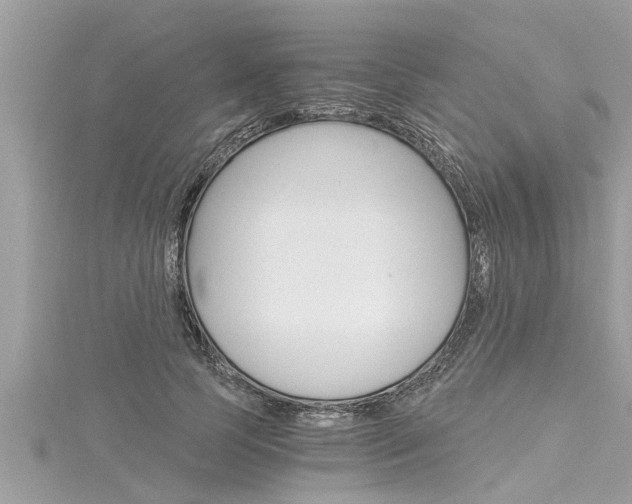 X0000116020745200911200938