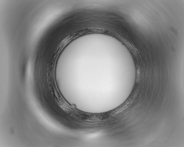 X0000116020765200911200939