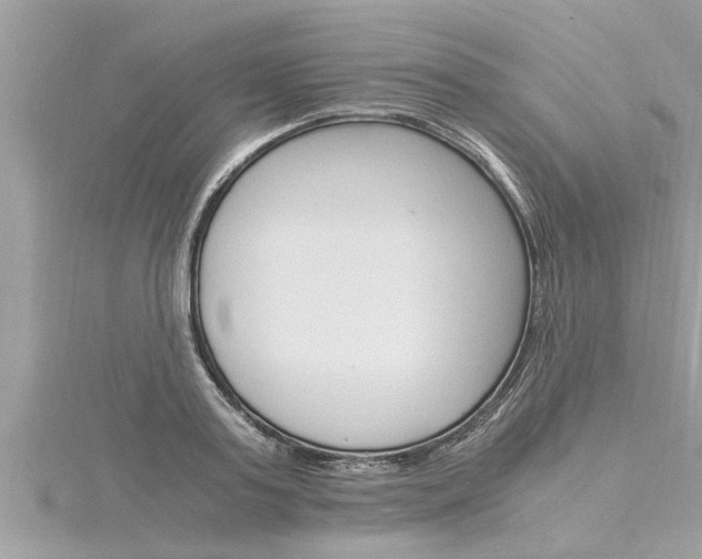 X0000116020795200911200938