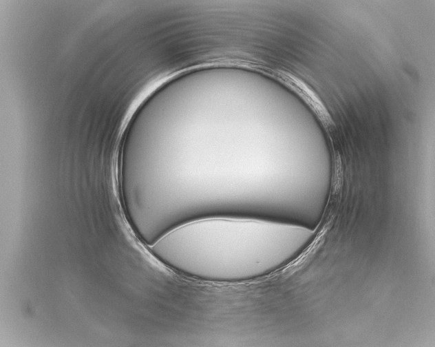 X0000116020812200911200937