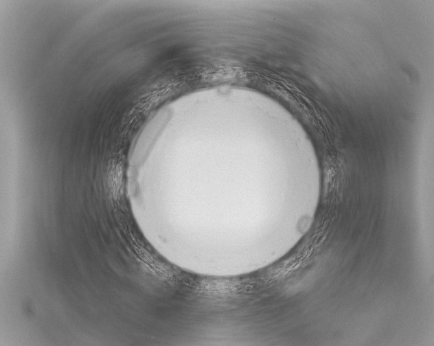 X0000116020820200911200937