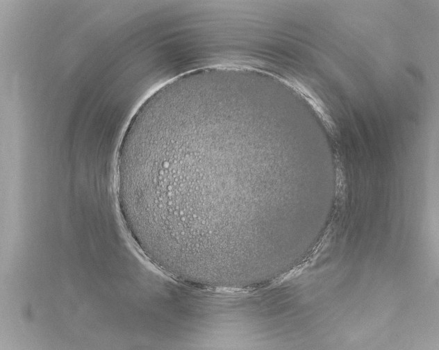 X0000116020848200911200937