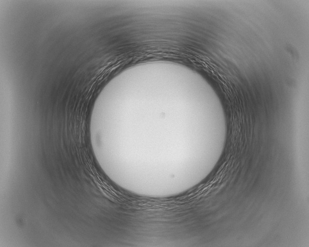X0000116020868200911200937
