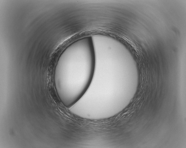 X0000116020872200911200937