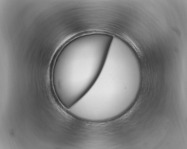 X0000116020884200911200936