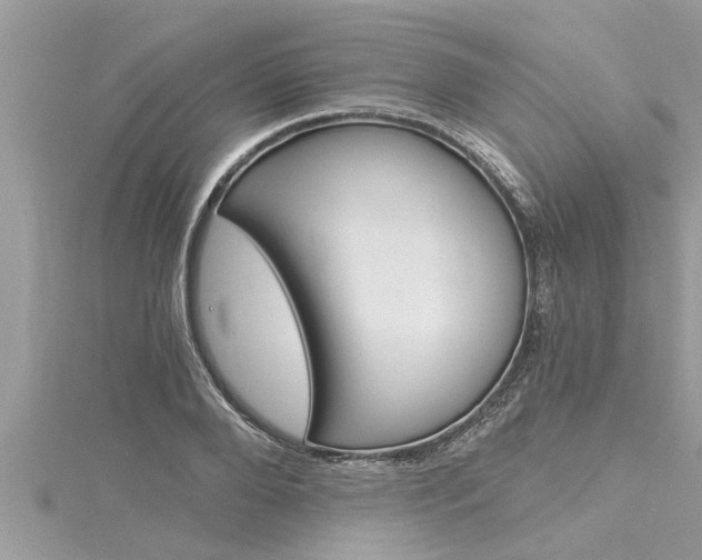 X0000116020888200911200936