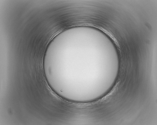 X0000116020889200911200936