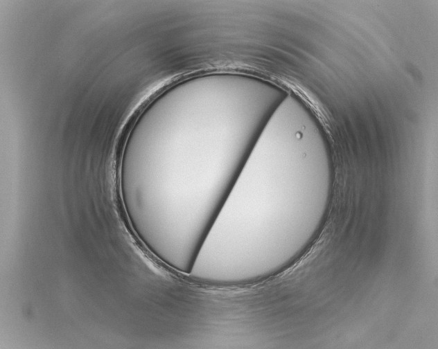 X0000116020894200911200936