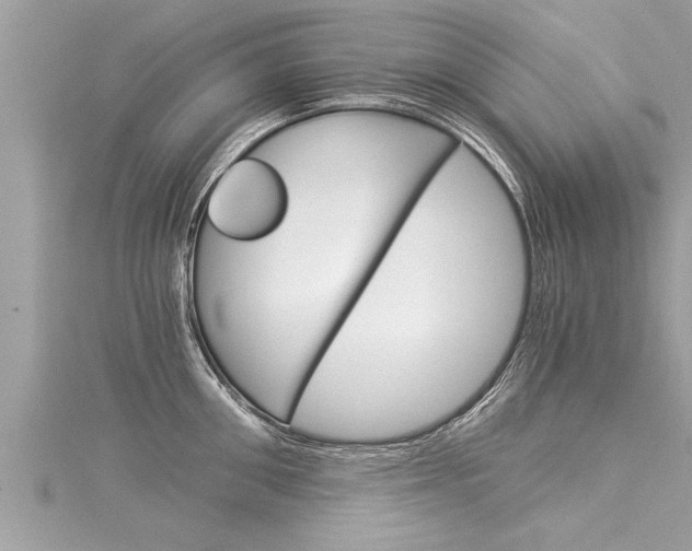 X0000116020906200911200936