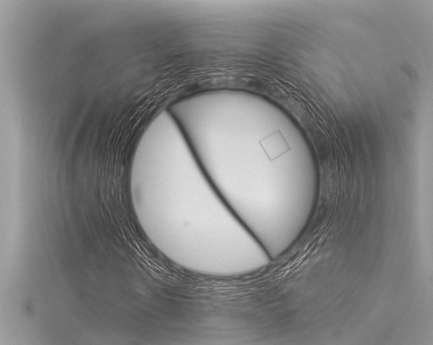 X0000116020914200911200935