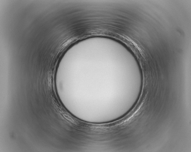 X0000116020921200911200935