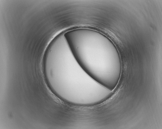 X0000116020934200911200936