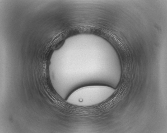 X0000116020964200911200935