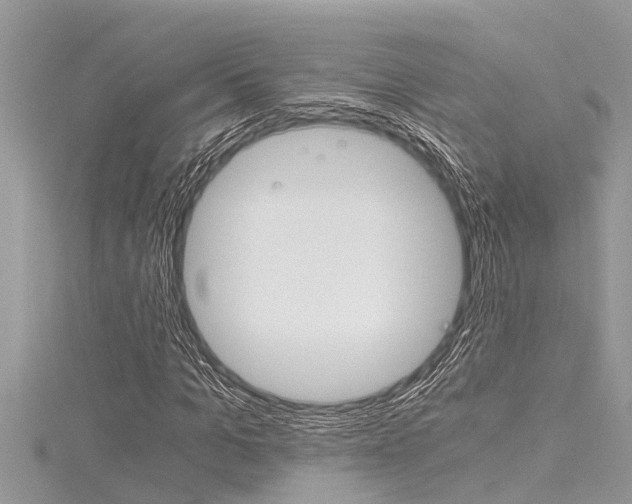 X0000116020965200911200935