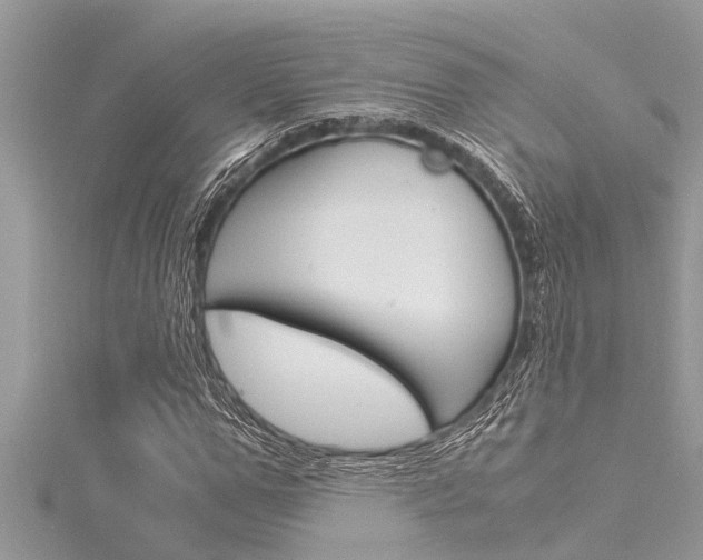 X0000116020967200911200935